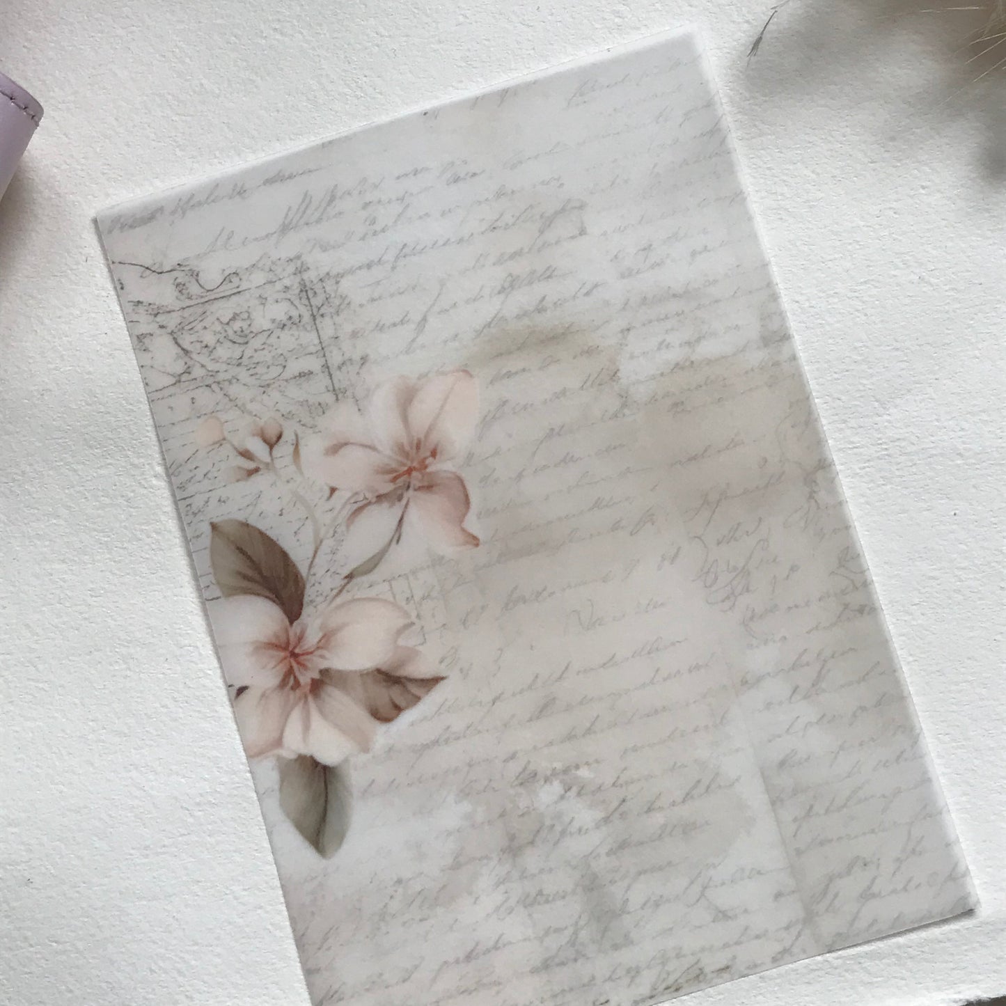 Vintage floral script on a delicate vellum