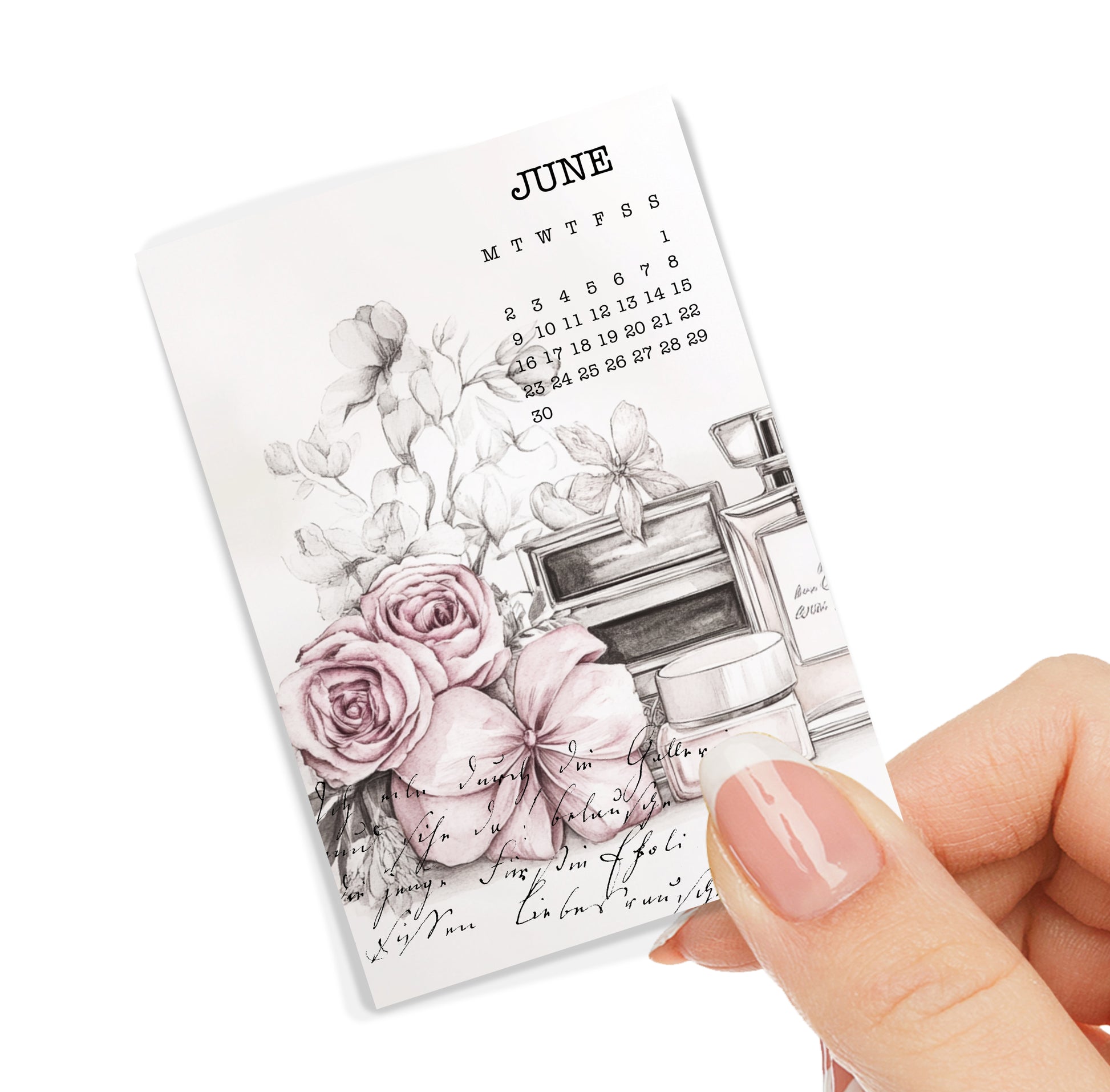 June Planner Dashboard -Paperlane Planners Co - Planner Dashboards & Accessories 